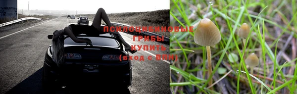 трава Армянск