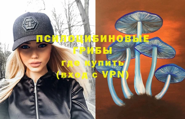 трава Арсеньев