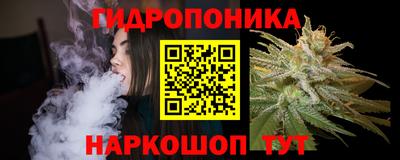 стаф Вязники