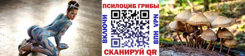 Псилоцибиновые грибы мицелий Кондопога