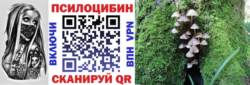 Псилоцибиновые грибы ЛСД mega как зайти Кондопога