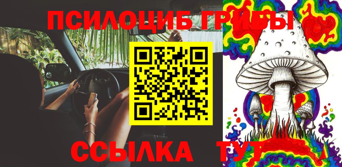 Галлюциногенные грибы Psilocybine cubensis Кондопога
